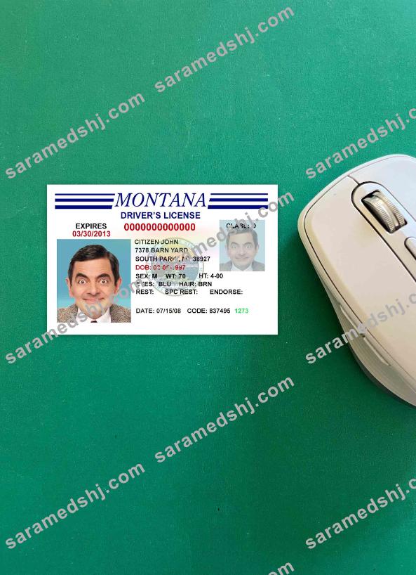 USA Montana driving license version 3 photolook FRONT